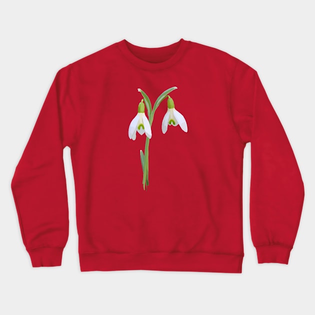 Snowdrops Crewneck Sweatshirt by A_using_colors